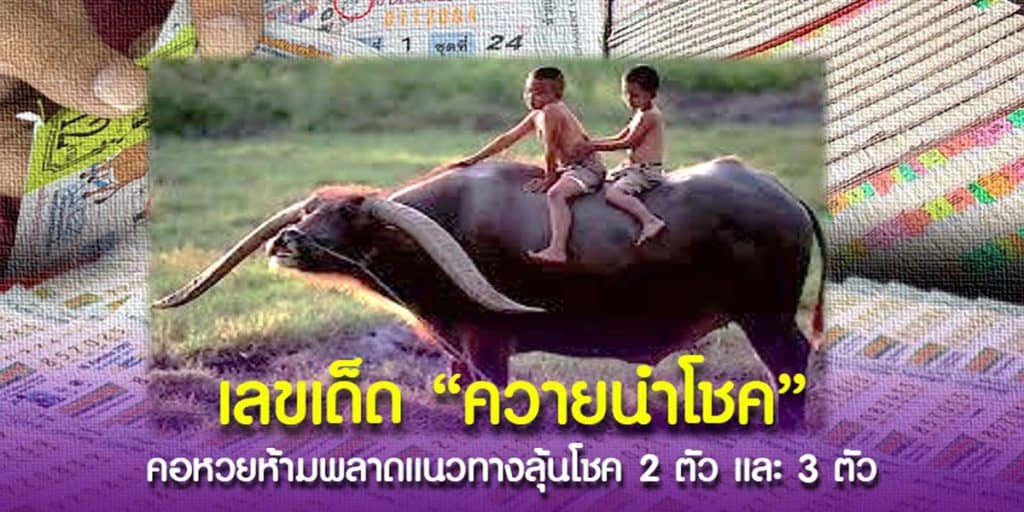 เจาะเลขเด็ด “ควายนำโชค” สองตัวเน้น ๆ