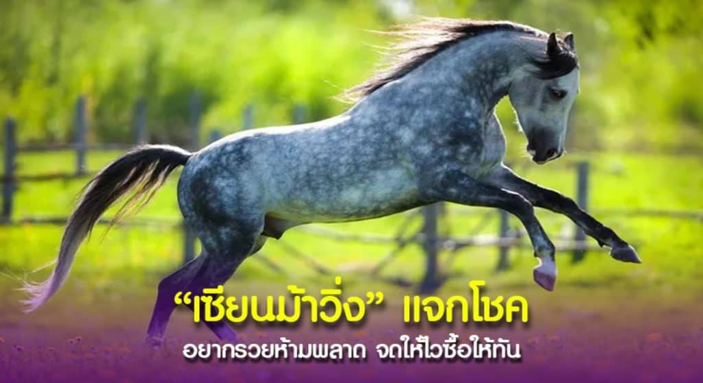 เซียน “ม้าวิ่ง” พารวย จัดให้เลยเล่นเด่นประจำงวดให้คอหวยลุ้นโชค