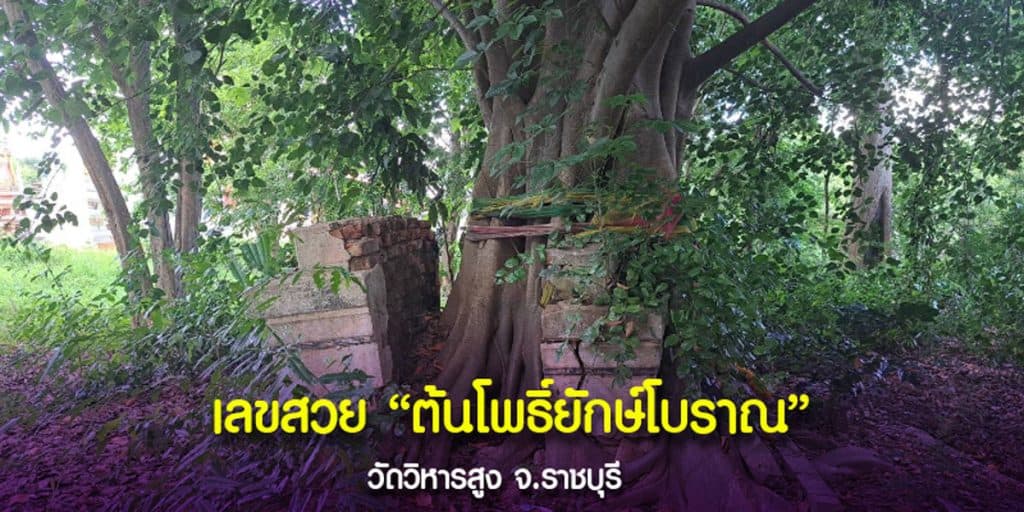 เลขธูป - เลขปิงปอง วัดวิหารสูง ราชบุรี