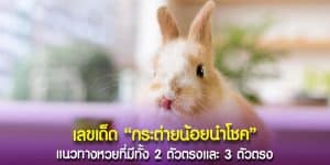 แจกมาให้แล้ว 2 ตัวตรงและ 3 ตัวตรง แนวทางเลขเด็ด “กระต่ายน้อยนำโชค”