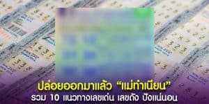 แนวทาง แม่ทำเนียน