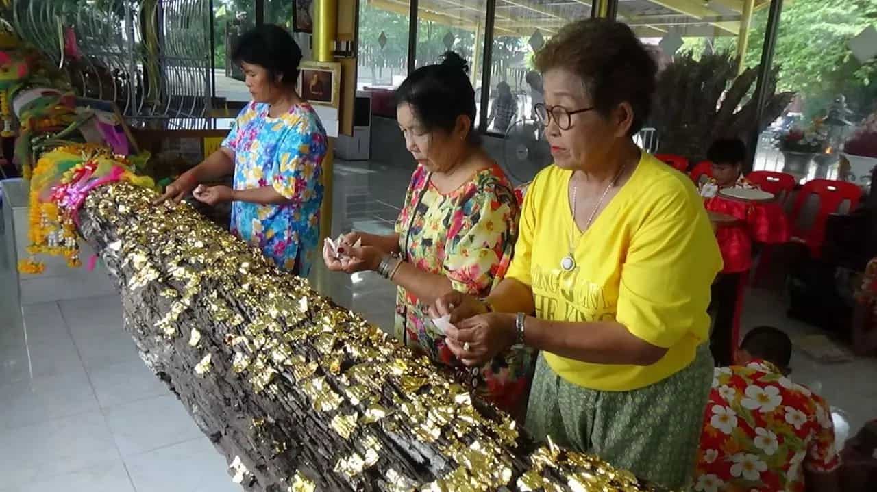 ต้นตะเคียนเจ้าแม่เรือนทองให้โชค